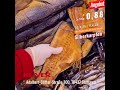 🐟 Silberkarpfen (Tolstolobik)