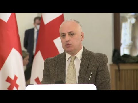 ნიკანორ მელიამ ფაქტიურად სამართლებრივ სახელმწიფოზე გალაშქრება დააპირა- დიმიტრი ხუნდაძე