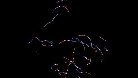 N2 (wild-type) C. elegans Locomotion - Entire Plate Part 2 - Multi-Worm Tracker Recording