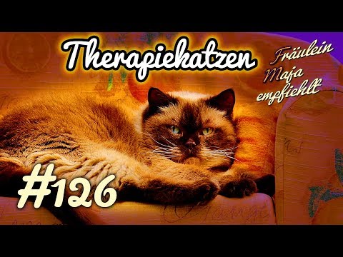 Video: Umgang mit Katzenallergien