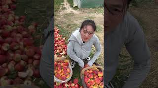 Fresh Fruit Nice Farm P007 #Shorts #Viral