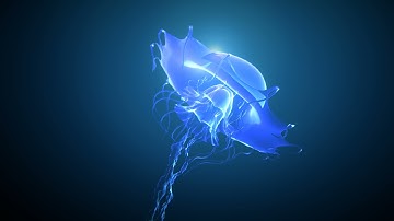 Jellyfish Animated. Unity asset.