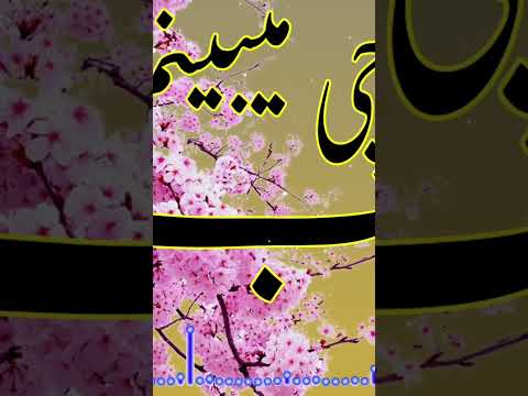 سرور سرخوش یارب چی میبینم مگر آن شوخ دلدار آمدہ Sarwar Sarkhosh آھنگ سرور سرخوش Sarkhosh