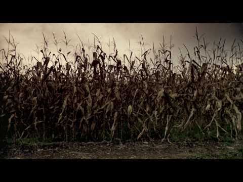 The Fields - Teaser.mov