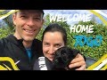 Welcoming Togo, a Giant Schnauzer puppy, to our family! の動画、YouTube動画。