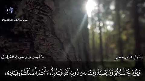 الشيخ عمير شميم ما تيسر من سورة الفرقان