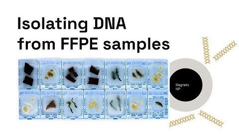 Isolating DNA from FFPE samples using magnetic beads