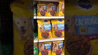 Todo Lo Que Debes Saber Del Alimento Pedigree Y Dogchow