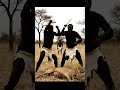 4 5 millain year ago life1 #animalattack #movie #wildliferescue
