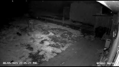 reolink RLC-410W ночная съёмка