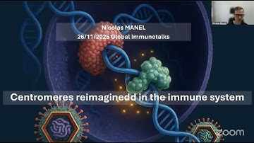 "Centromeres reimagined in the immune system" by Dr. Nicolas Manel