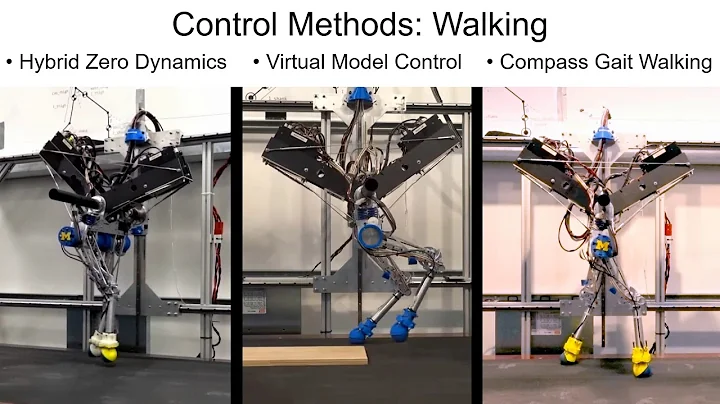 Dynamic Walking 2018 - One-minute Video