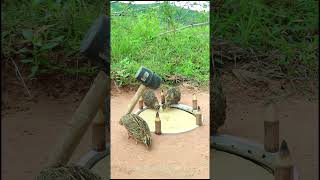 Best Creative Diy Trap Technique - Quick Bird Trap
