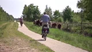 Paradigmum Communicatie In Uitvoering Trailer Bargerveen