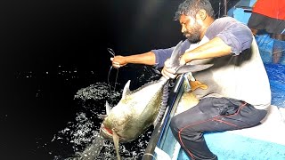 Catching Barracuda Fish & Giant Trevally in the Deep Sea