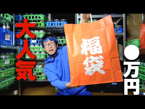 クワカブ福袋 The surprise hidden in the insect lucky bag where you don't know
