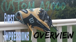 Famous Custom a2000 Overview/ First Impressions Profile