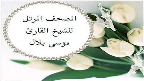 سورة الكافرون  || بصوت القارئ الشيخ موسى بلال