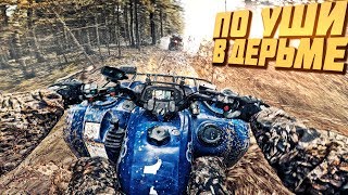 Застрял на чужом квадроцикле в лесу - Первый раз по бездорожью на Yamaha Grizzly