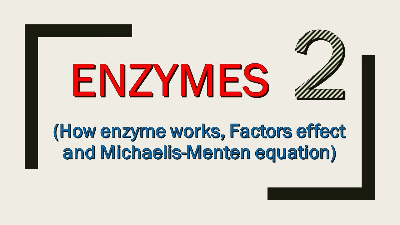 Enzymes (How enzymes work and Michaelis equation; Part 2/4 Lippincott
