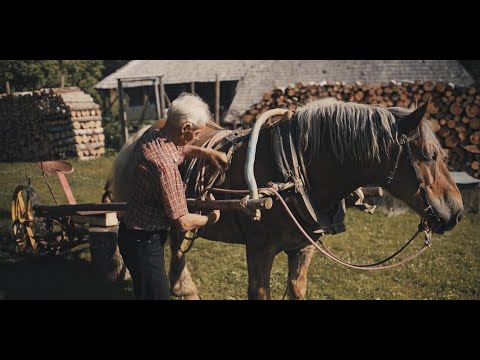 Film Dziadek - U Pana Boga Na Dzierżawie