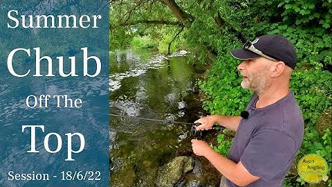 Summer Chub Fishing With Floating Bread - River Fishing - 18/6/22 (Video 326)