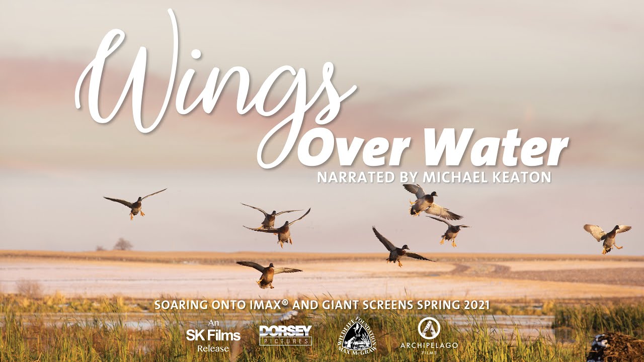WINGS OVER WATER TEASER SOON 2022] YouTube
