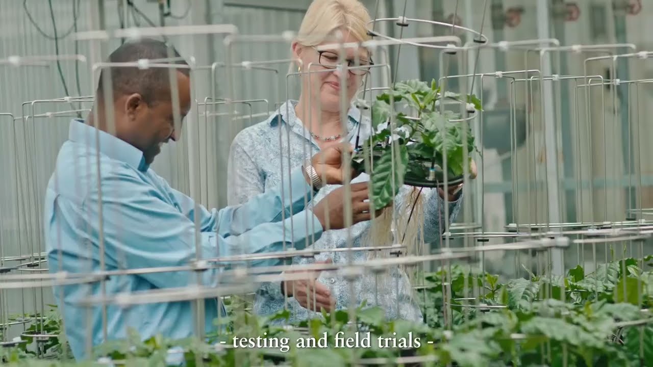 Why is YaraAmplix Unique