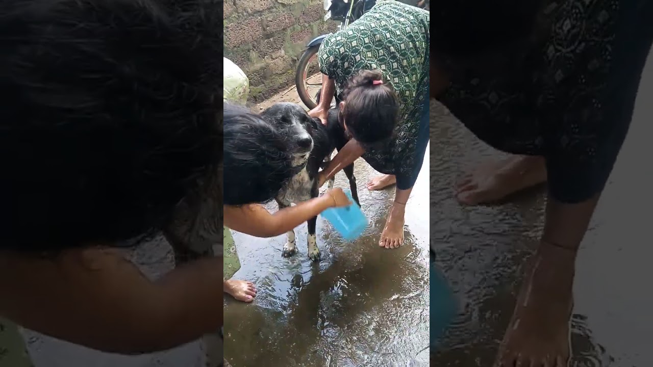 Tami aji sakalu sakalu gadei ki bolibaku jiba🤭🤭🤭🤭🤭🤭