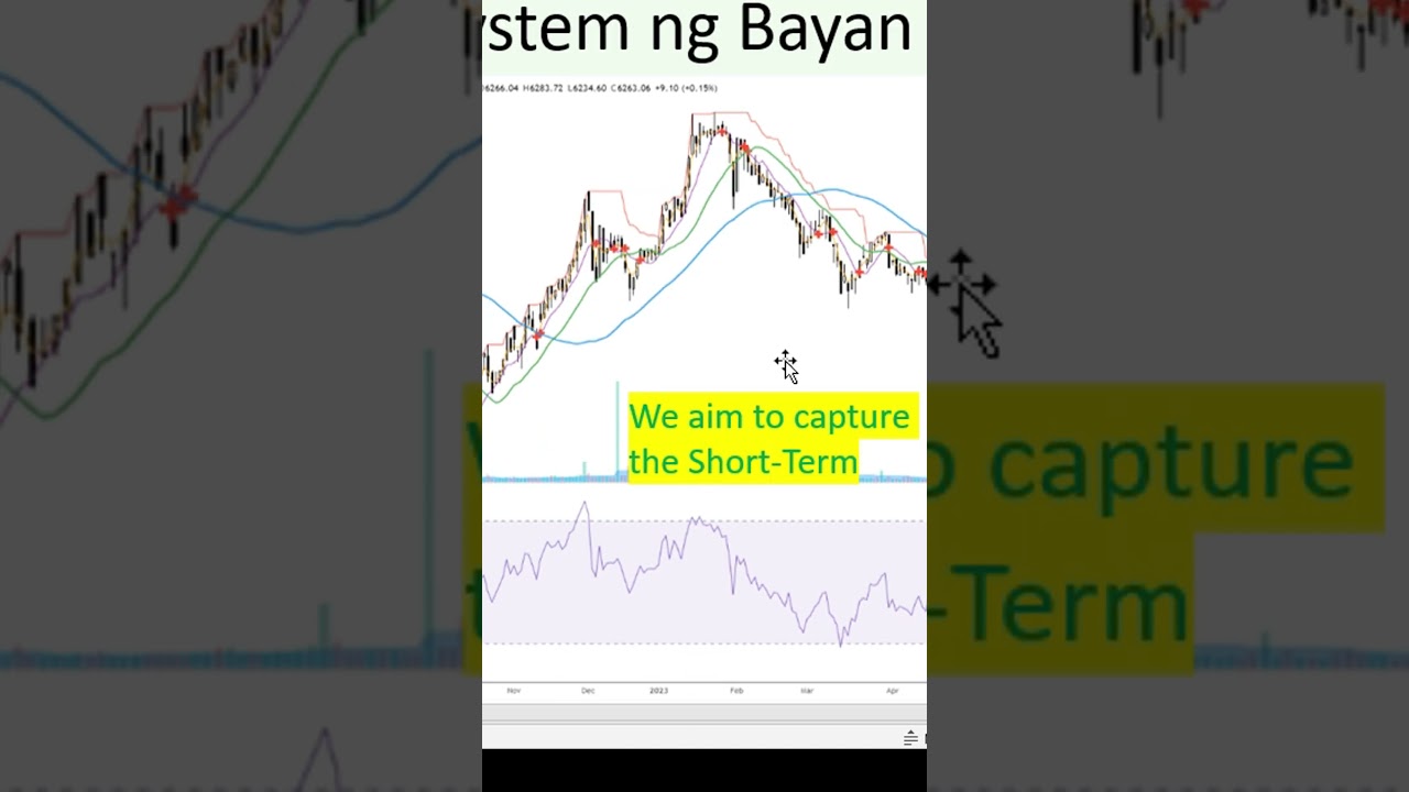 Stock Picking vs  Stock Signals 