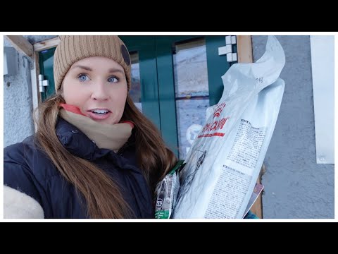 What is it like living in Longyearbyen? | Visiting the vet + post office etc | SVALBARD