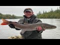 Taimen Mongolia Trout Fly Fishing RIVER WOLF