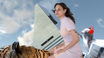 Rebecca Schiffman "Tips for Conquering Fear of Flying" Official Music Video