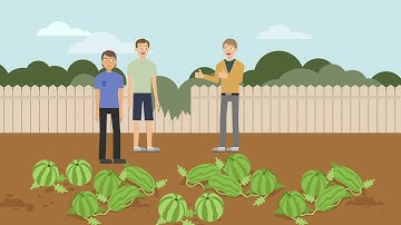 Brown v. Martinez Case Brief Summary | Law Case Explained