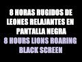 8 horas rugidos de leones música para dormir relajante pantalla negra / 8 lions roaring black screen
