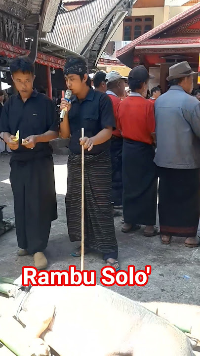 #adattoraja #rambusolo' #tangkeansuru' #visittoraja