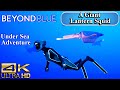 The Giant Lantern Squid | Beyond Blue - An Ocean Adventure | 4K