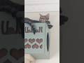 السلطانه زوزو المشهوره  اكسبلور  قطط