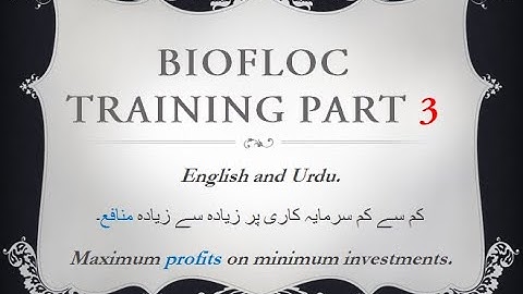 BioFloc Training Part 3 [Tutorial]  II  "Difference Traditional Pond, RAS System & BioFloc System"