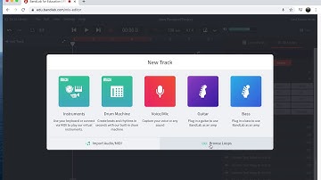 Bandlab assignment #1  loops