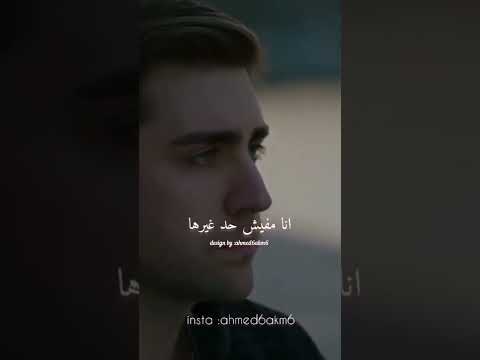 حالات واتساب و استوريهات انستا تامر عاشور مكملناش