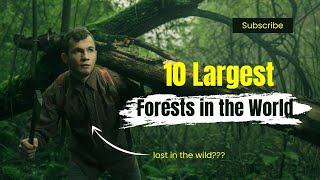 Exploring the 10 Largest Forests in the World #ExploringForests#LargestForests#ForestExploration