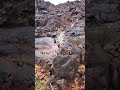 امطار وادي عرقان نجران عصر اليوم