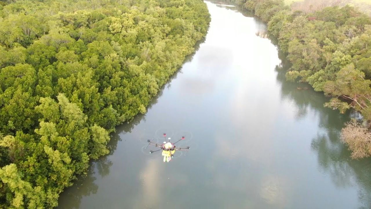 Croc-spotting drone patrol takes off Down Under | AFP