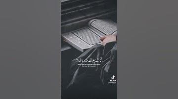 سوره الشرح بصوت شجي