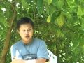 Traditional Chinese Medicine Traditional Chinese Medicine