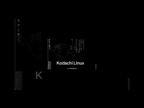 اقوى أنظمة يستخدمها الهكر في الأختراق