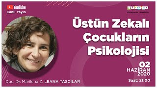 Üstün Zekalı Çocukların Psikolojisi - Doç Dr Marilena Z Leana Taşcilar