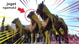 Download Lagu Lucunya Kuda Joget - Lomba Joget Jarang Goyang - Kuda Poni Lucu MP3