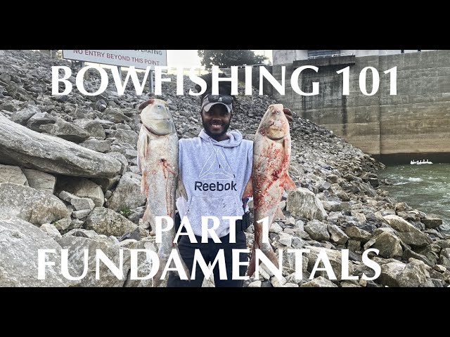 Bowfishing Basics: 6 Tips to Get Started